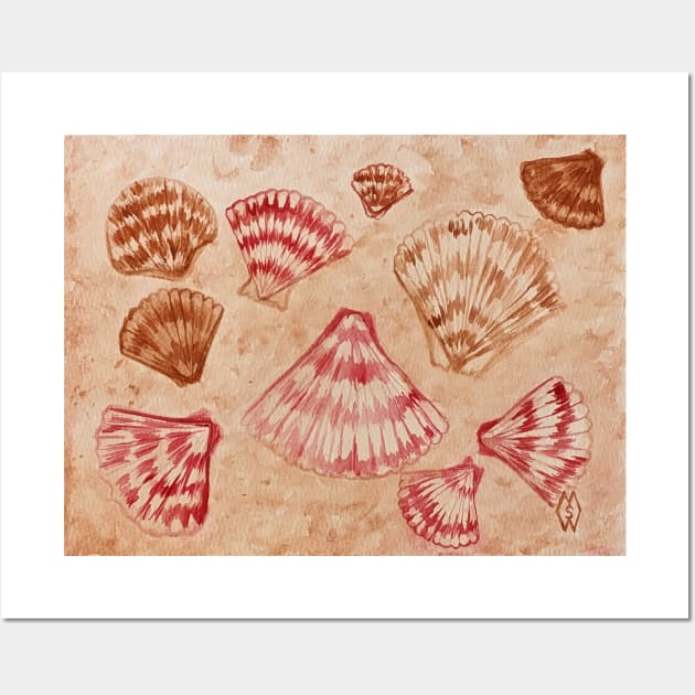 Scallop Seashells Wall Art by Matt Starr Fine Art